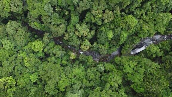 无人机拍摄的澳大利亚雨林和山溪