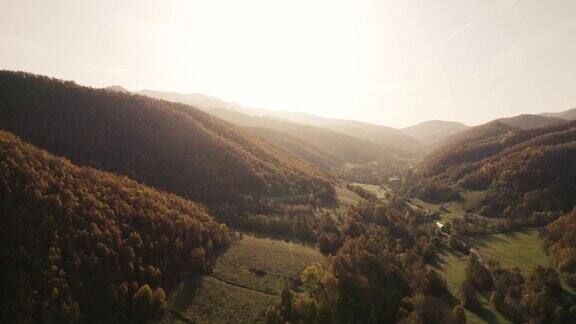 航拍无人机拍摄的秋日山脉中的树木和森林巴尔干山脉、斯塔拉普拉尼纳、巴宾祖布