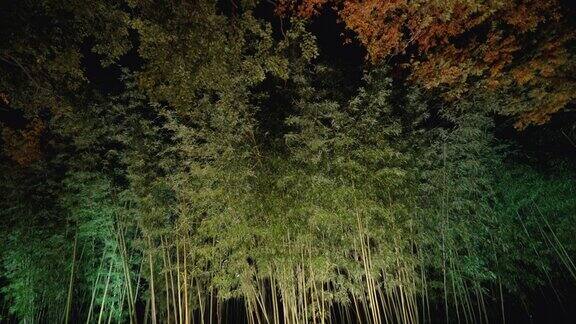 竹林与微风的夜晚
