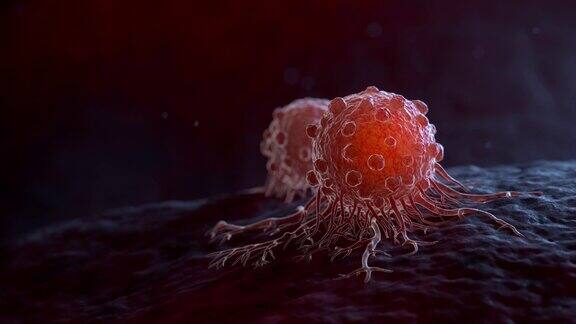 肿瘤细胞迁移