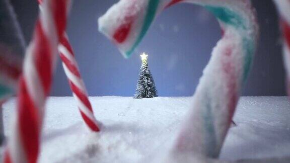 雪花背景上的糖果和圣诞树