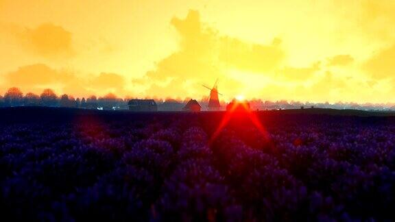 法国薰衣草村庄与古老的风车对抗清晨的日出倾斜