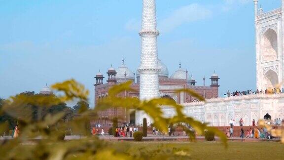 泰姬陵-一个陵墓清真寺位于阿格拉印度在亚穆纳河岸