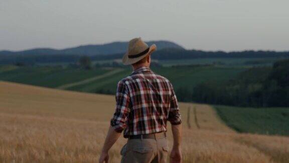日落时分一位农民走在成熟的麦田里