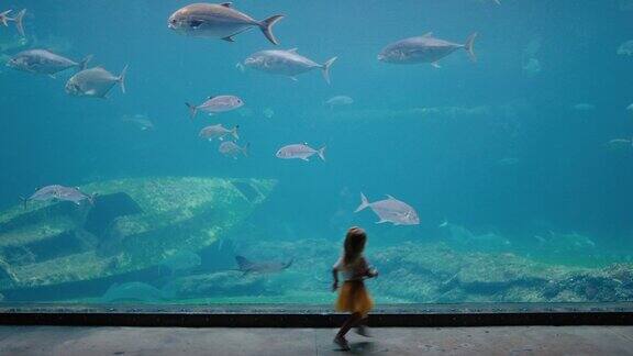 水族馆里的小女孩看着鱼缸里游来游去的鱼快乐的孩子在海洋馆里看着美丽的海洋动物在水生栖息地愉快地学习海洋生物