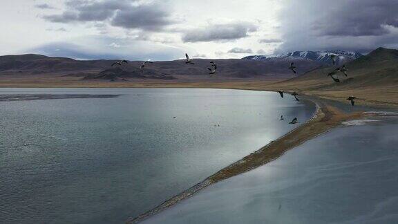 蒙古湖鸟瞰图
