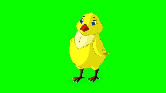 YellowChickenStands和推特ChromaKey