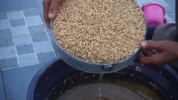 印度北阿坎德邦德拉敦市2022年3月21日印度人在收获后加工小麦润湿和干燥过程