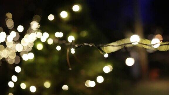 平安夜后院的圣诞彩灯