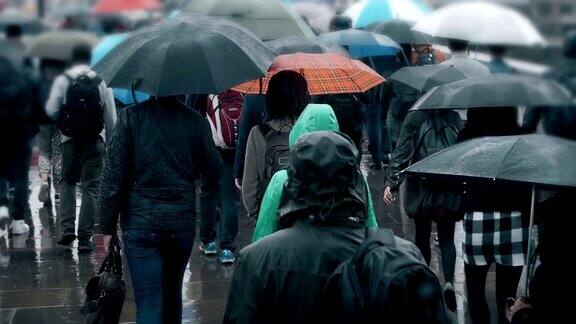 一群撑着伞在雨中行走的人