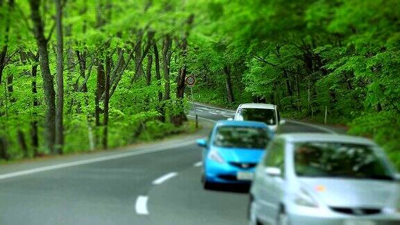 汽车与绿色森林