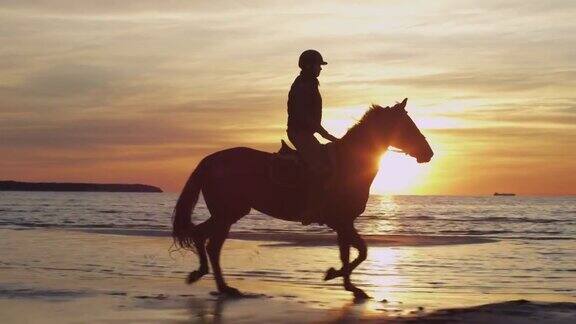 在日落的光在海滩上骑马的剪影
