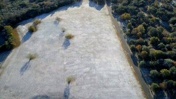 德克萨斯州奥斯丁的大片田野降雪