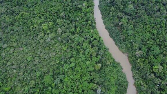 南美洲巴西亚马逊雨林的鸟瞰图