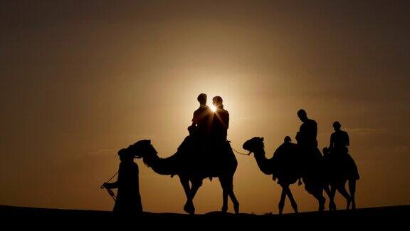 迪拜骑骆驼
