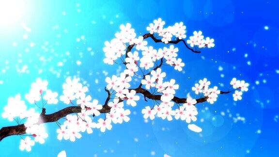 樱花盛开的树樱花盛开的动画