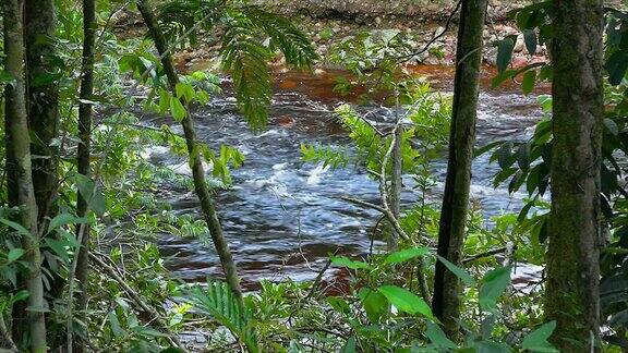 这是卡奈马国家公园里的天使瀑布河委内瑞拉