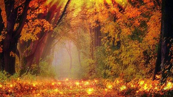 抽象的秋天背景与橙色的叶子