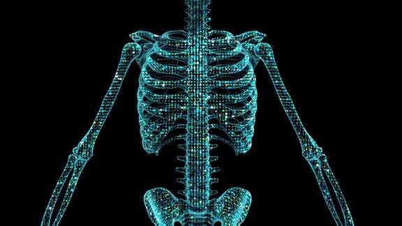 一种由粒子和数字点组成的人体骨骼的数字的、三维可视化的全息图像数字骨架模板是理想的创建未来的控制面板或仪表盘的医疗扫描仪的未来或实验室研究