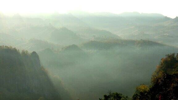 清晨热带雨林上空的雾景观
