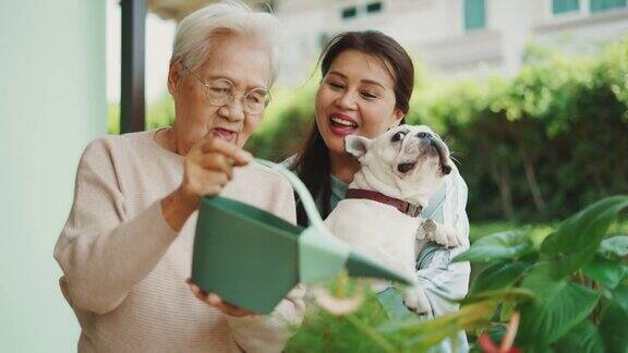 女儿抱着法国斗牛犬看着母亲给植物浇水