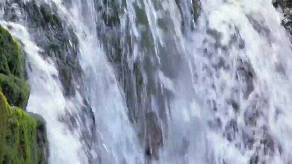 瀑布在山河与白色泡沫的水从岩石形成的夏季森林