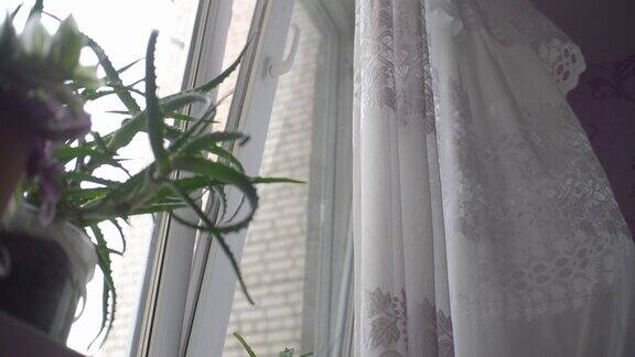 窗户上透明的窗帘被风轻轻摇动