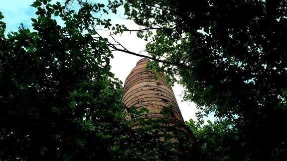 树林里废弃的老塔