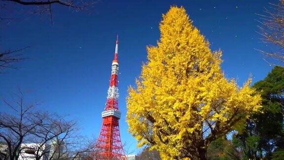 银杏树与东京塔