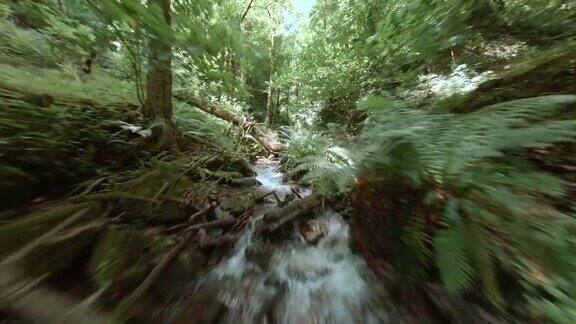 速度飞行无人机查看岩石河流在热带丛林绿色森林FPV运动无人机电影拍摄河流流动的岩石在夏季丛林无人机拍摄的野生森林
