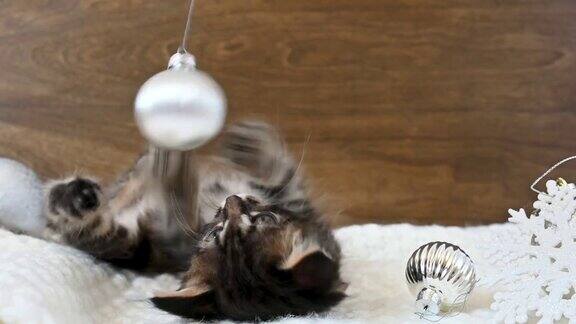 小猫躺着玩圣诞球