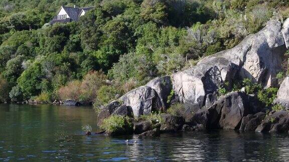 新西兰陶波湖的毛利石雕