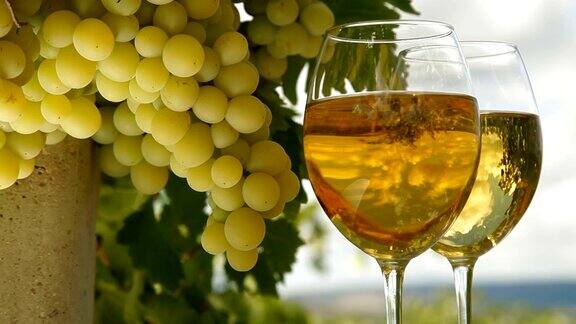 白葡萄和葡萄酒杯