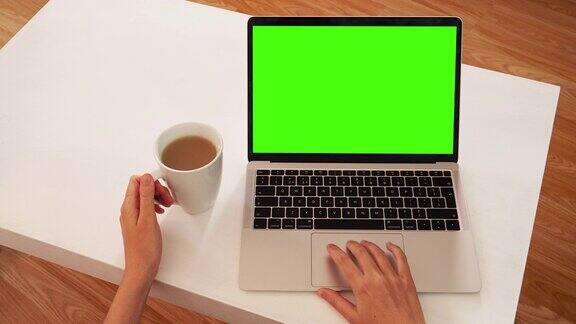 女人使用笔记本电脑:信息显示在绿色屏幕色度键上