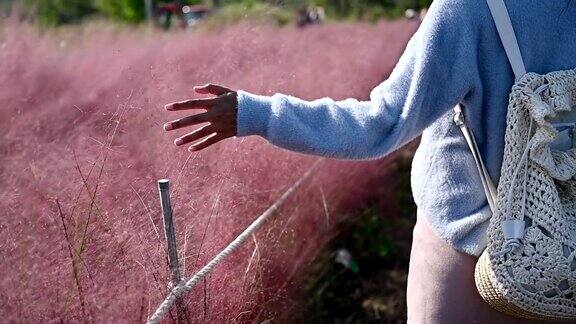女人的手触摸着粉红色多色的草
