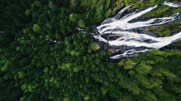 鸟瞰空中在常绿雨林树冠巨大的瀑布