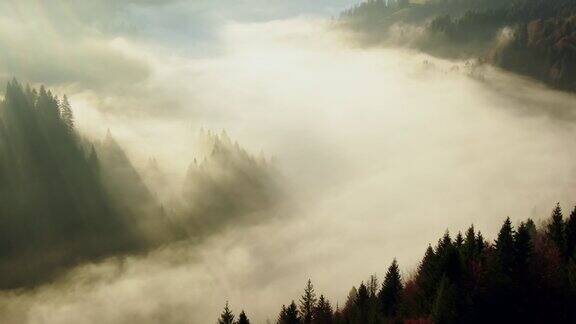 无人机飞过山林和迷雾山谷