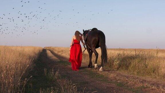 女孩牵着马走在土路上一群乌鸦在田野上空飞翔