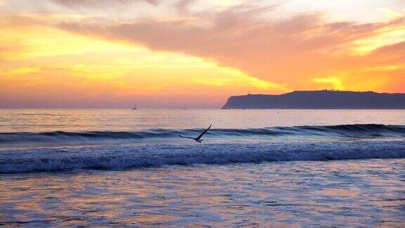 海鸥缓慢地飞过海洋