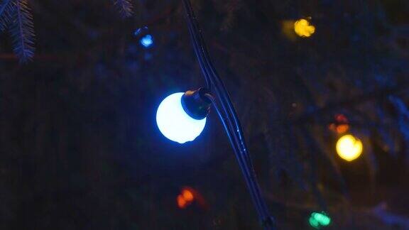 爱沙尼亚圣诞树上的一个灯泡