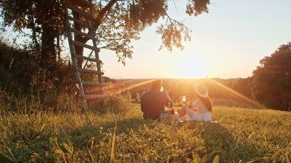 在一个阳光明媚的日子里一对年轻夫妇在大自然中野餐