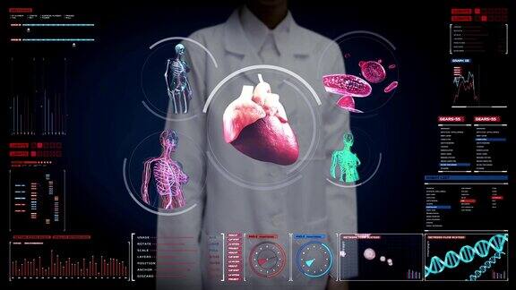 女医生触摸数字屏幕扫描血管、淋巴、心脏、循环系统的数字显示蓝色x射线的观点