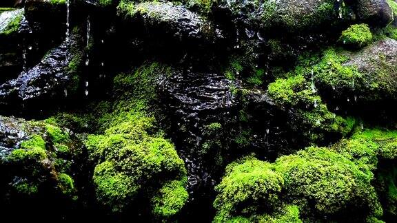 瀑布飞溅的慢镜头近景泉水下落时滴落在覆盖着绿色苔藓的岩石上
