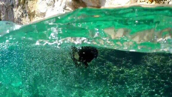 慢动作水下:可爱的小钳鱼游向岩石海岸