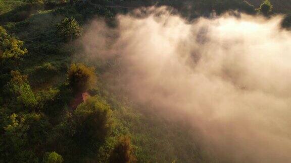 4K森林中朦胧日出的鸟瞰图泰国的热带雨林