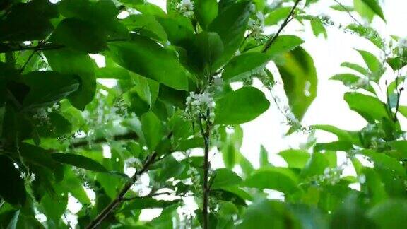 雨天的风景