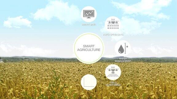 智能农业信息图形图标物联网4工业revolution.4