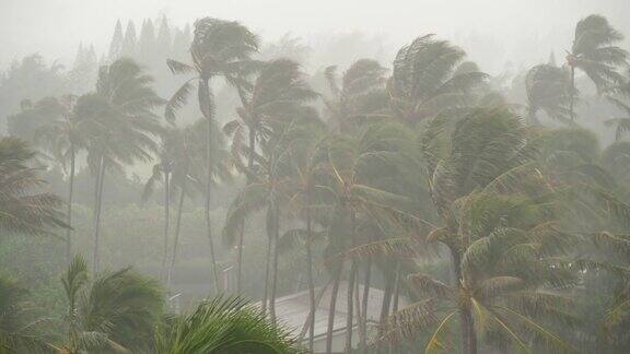 热带岛屿风暴有暴雨和大风
