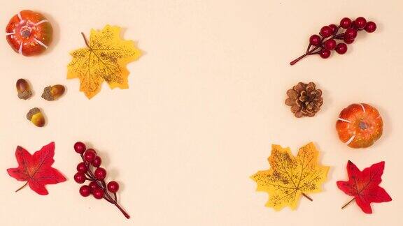 秋天的叶子和水果出现在左边和右边的复制空间停止运动