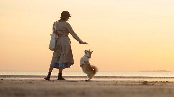 美丽的风景和女人训练狗而站在海边日落spbi
